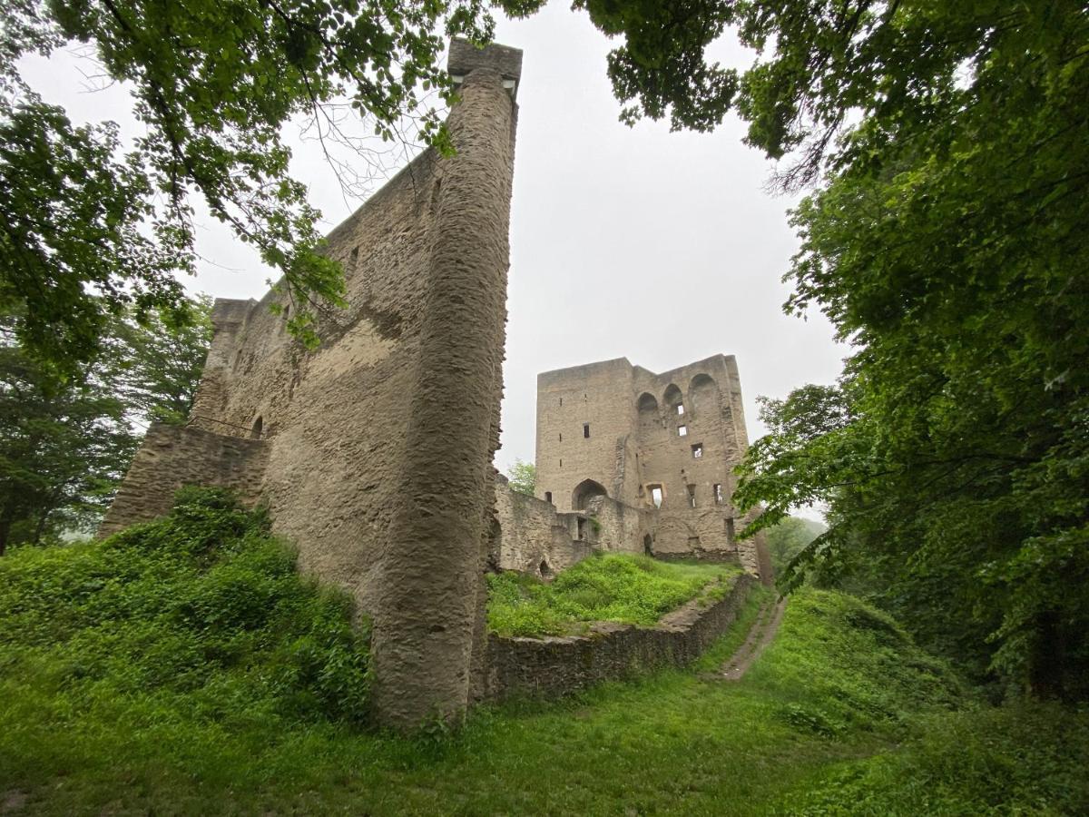 Neu!!! Netflix!!! Schoene Ferienwohnungen Im Gruenen Mit Top Ausstattung - Nur 15 Min Bis Koblenz Eitelborn Exterior photo